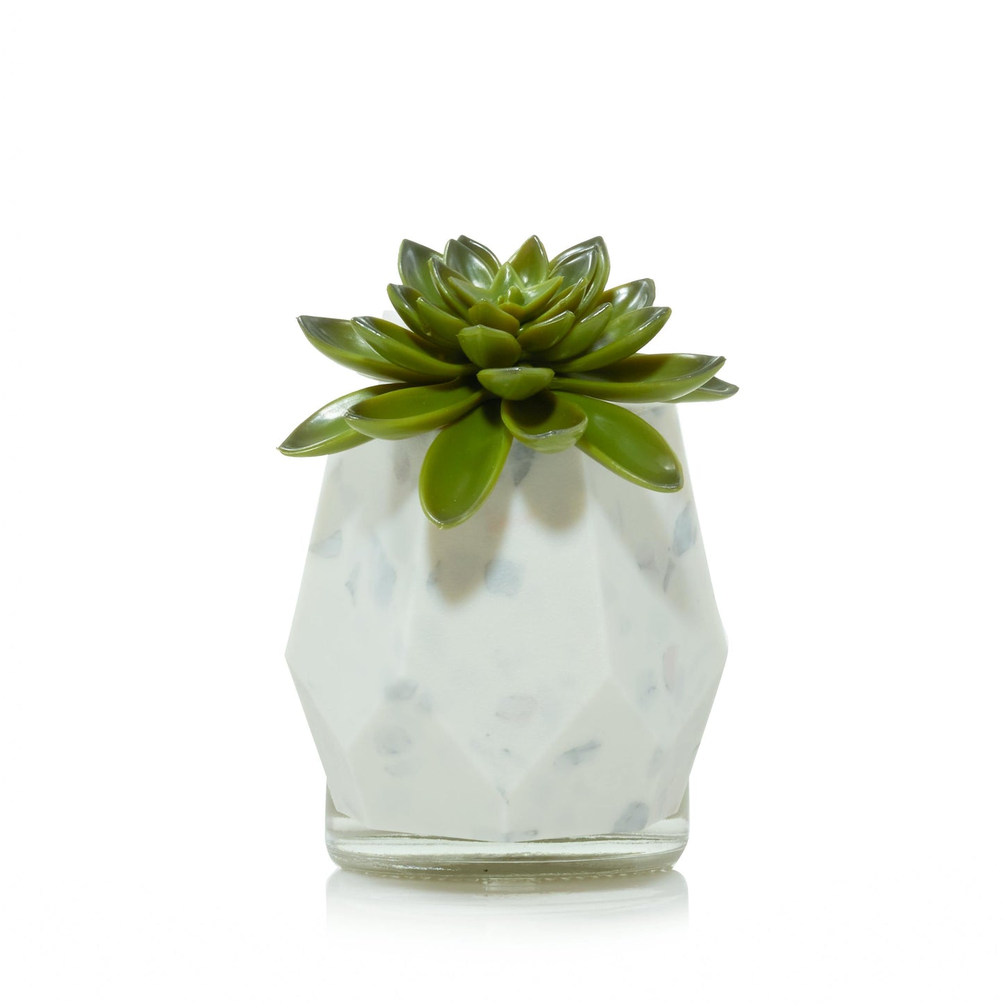 Faceted Succulent ScentPlug® Diffuser with Light WS6S