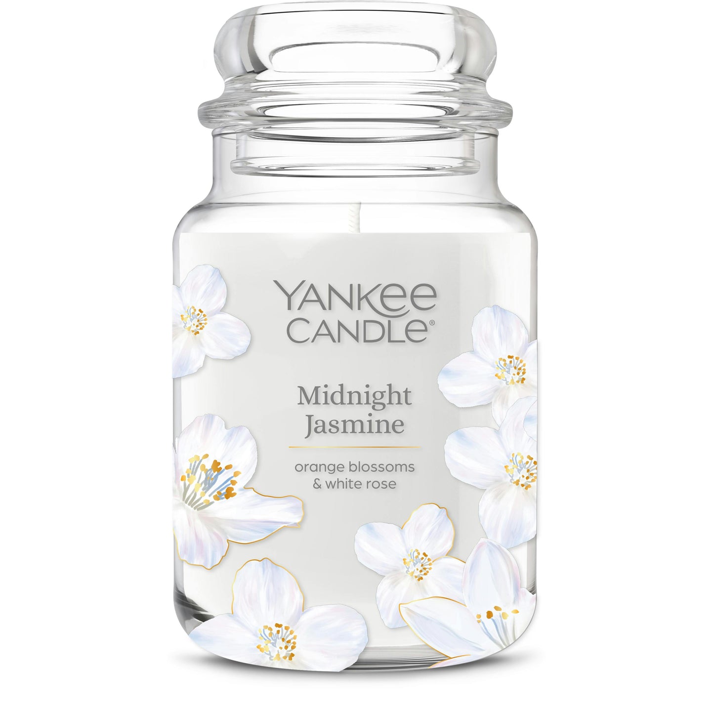 Midnight Jasmine VJ69