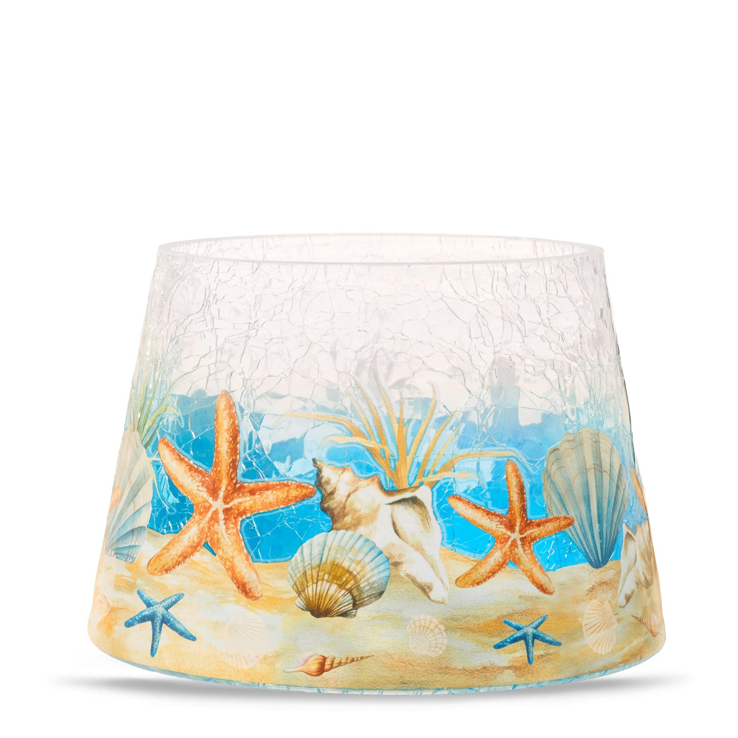 Seashell Jar Shade WNJ6