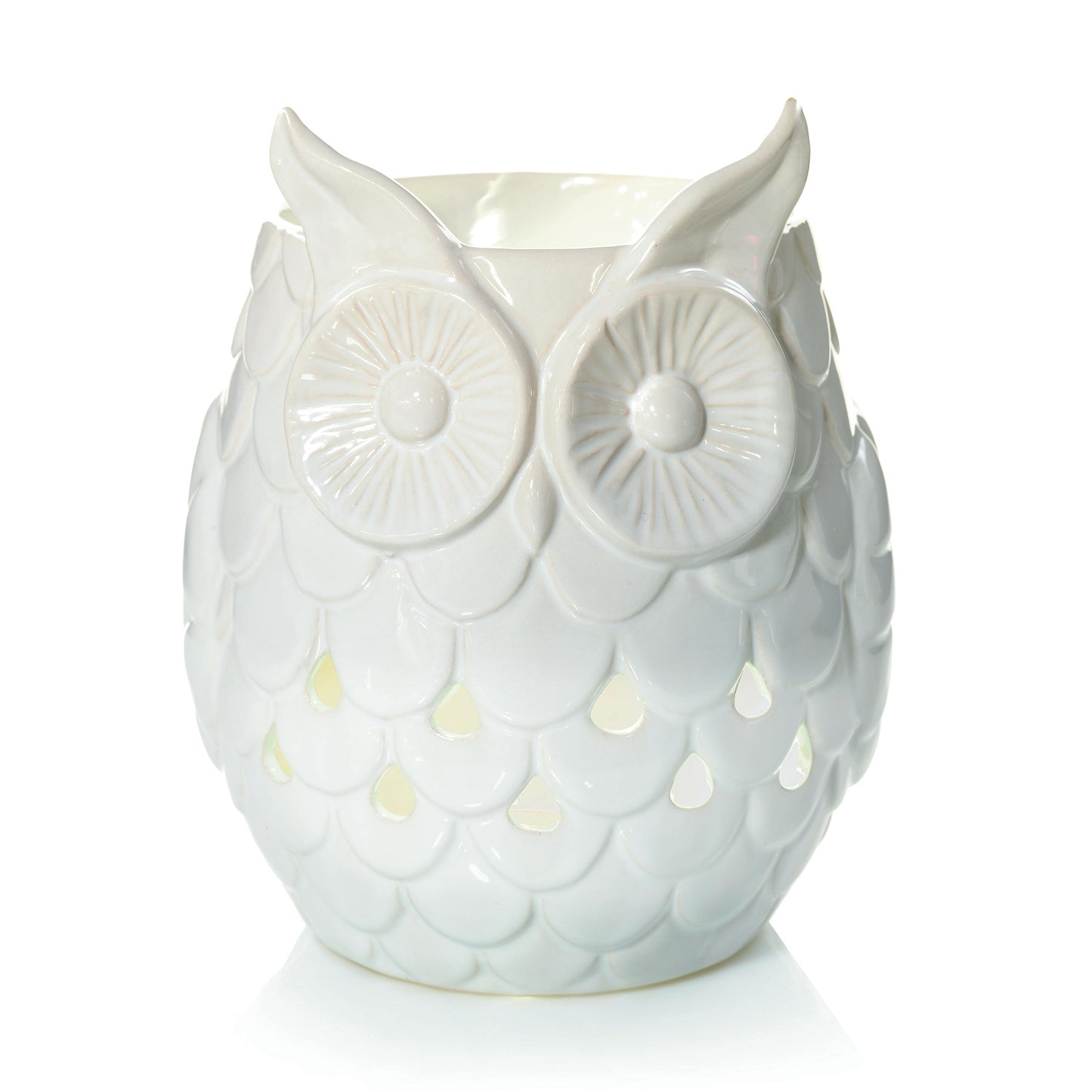Owl 1M17