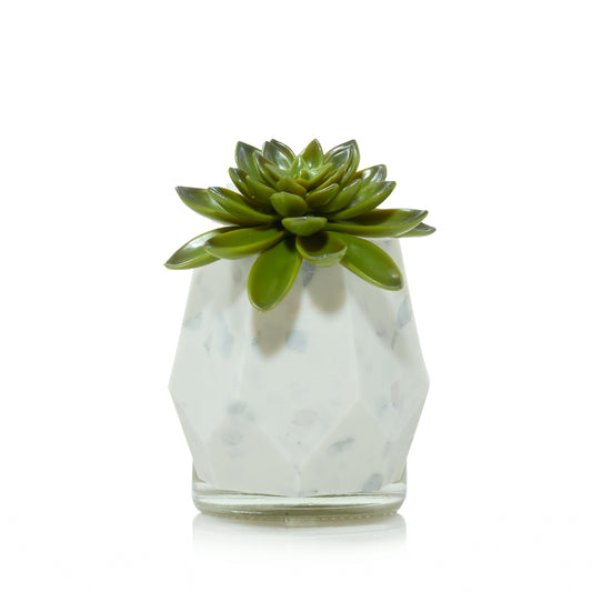 Faceted Succulent ScentPlug® Diffuser with Light WS6S